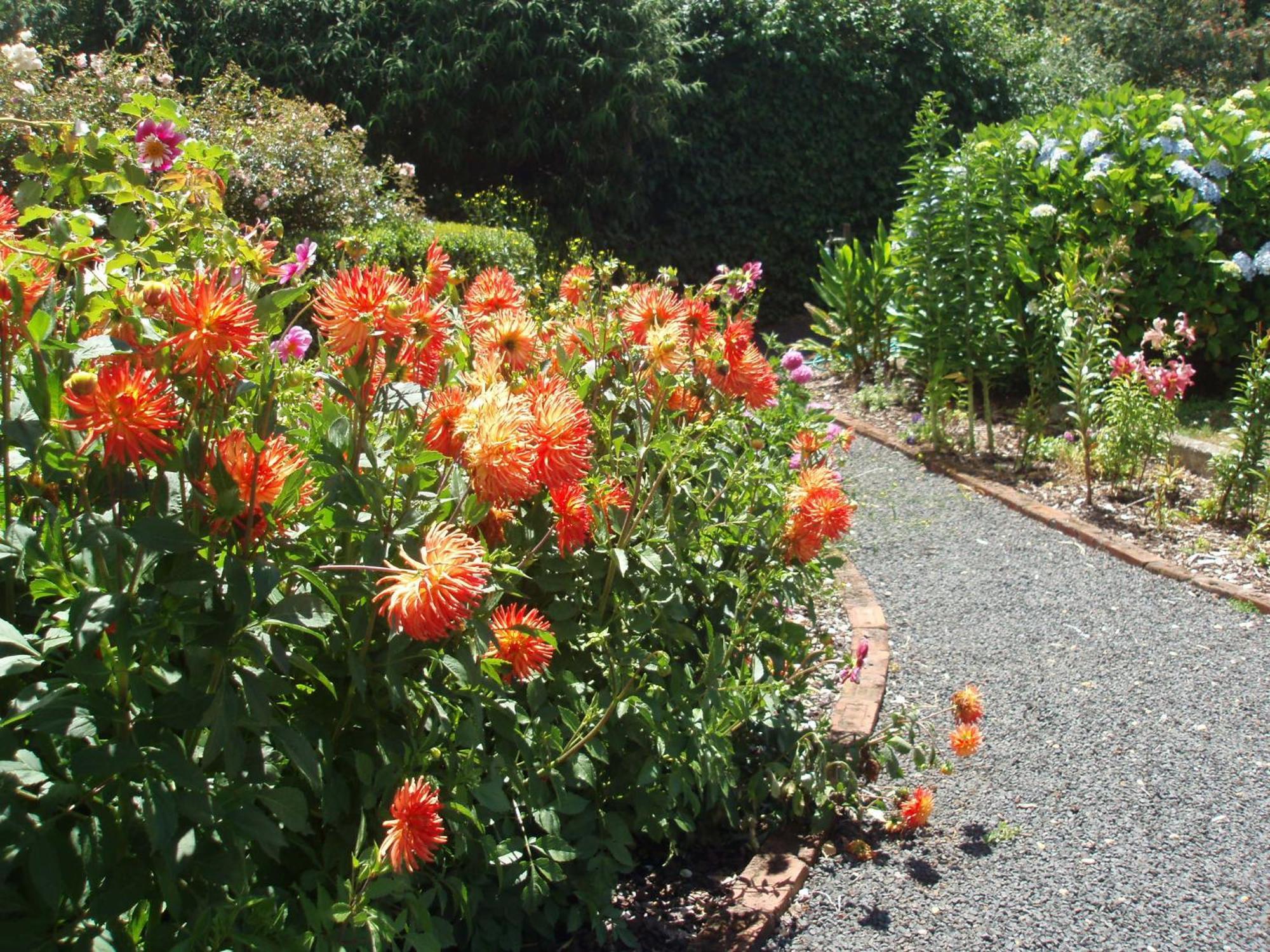 Boat Harbour Garden Cottages Eksteriør bilde